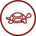 Slow
